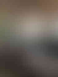 Indoor dining scene at BordoMavi, with natural light, wooden ceilings, and a lively, relaxed atmosphere