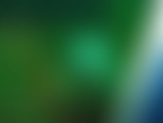 Adorable Cecilia awaits return of grey nomads to Busselton Jetty