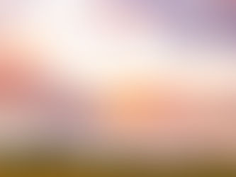 I Hope Australia Never Ends Up Like THIS