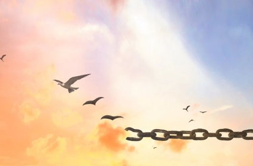 Me libero