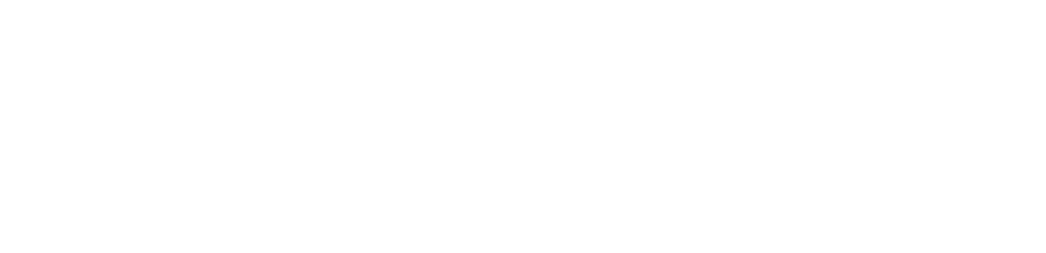 GSG Logo White_edited.png