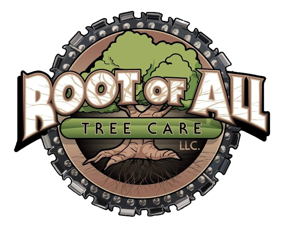 Home Page The Root Of All Tree Tree Care Near Me home-page-the-root-of-all-tree-tree-care-near-me