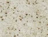 Colonial Cream