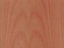 Pink Beech.jpg