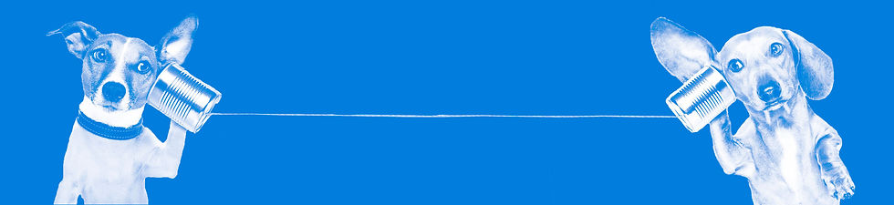 WD-bluetemplate-FAQ-wide.jpg