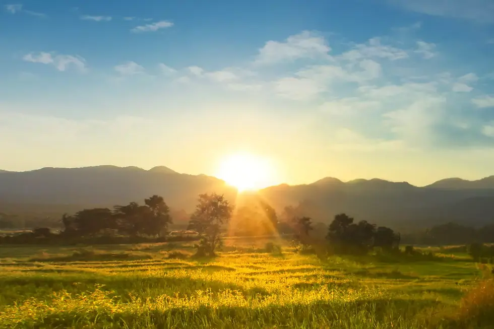 photo soleil 2.webp