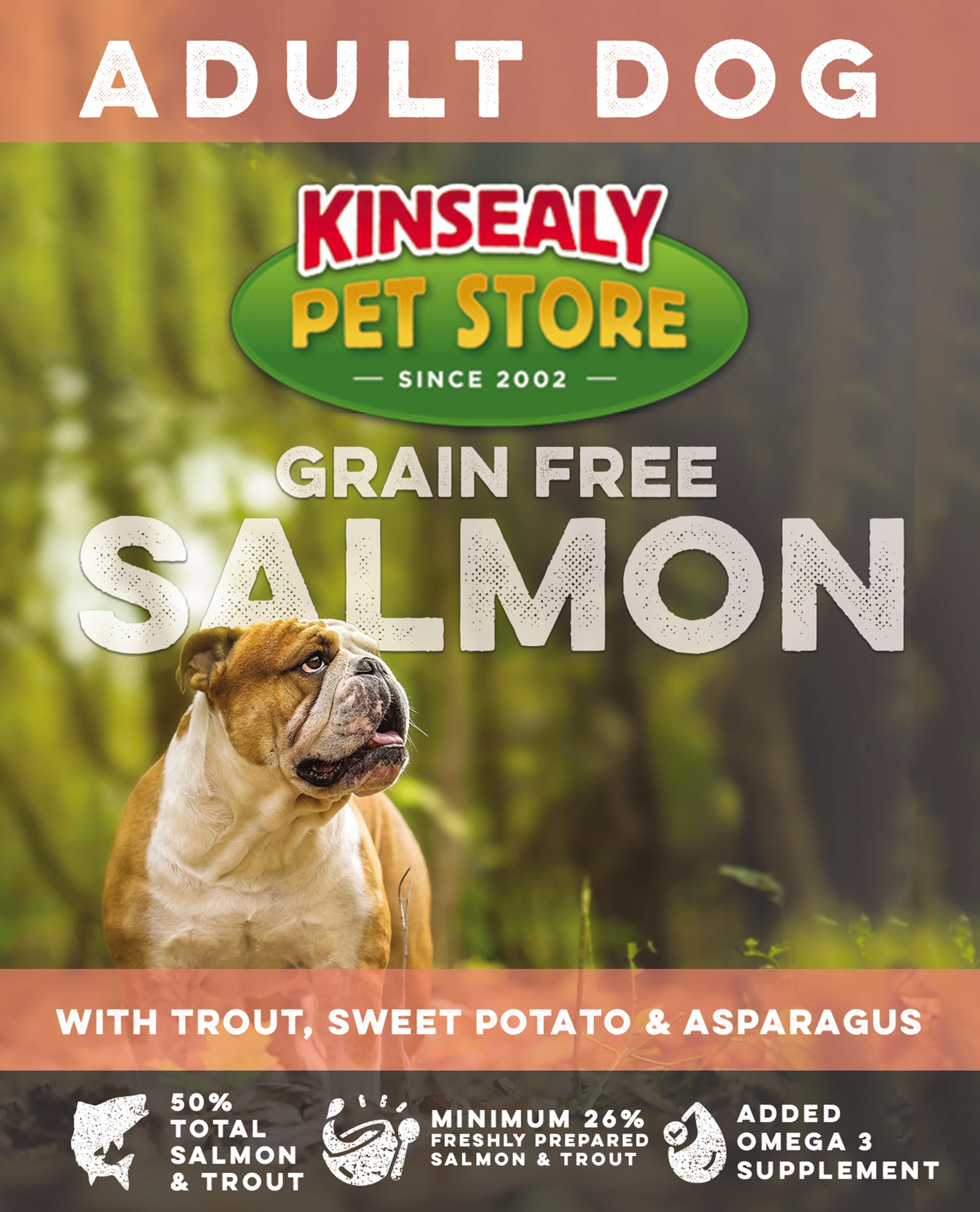 KPS ADULT SALMON 2kg