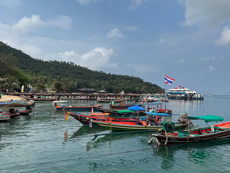 recommended companies koh tao diving, taxi, food, medical, tech
