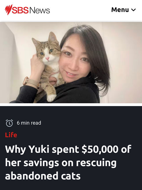 Each child requires a supervisor to enter the cat lounge_edited.jpg