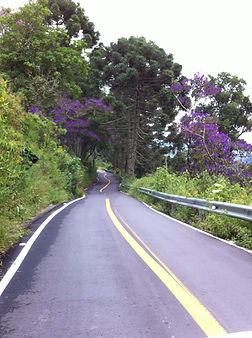 Serra da Bocaina estrada