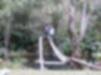 Há de se equilibrar...
