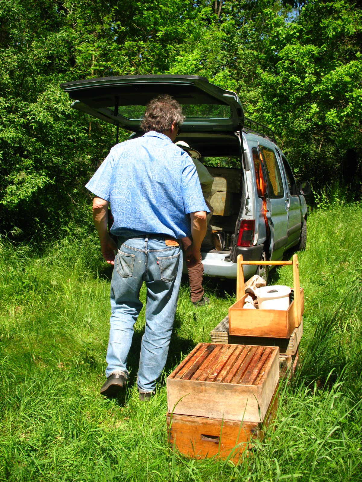 Rucher Pringy 2008 (3)