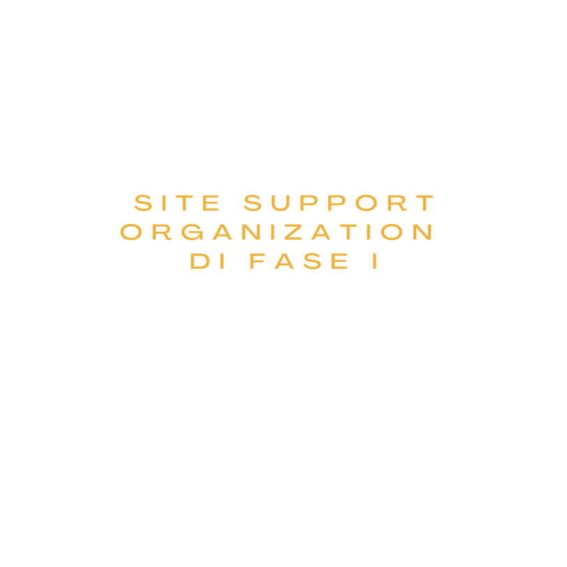 Logo PHASE 1 (8).png