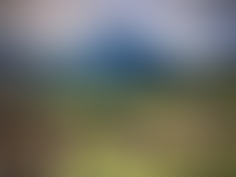 Biodynamic Wine Explained: Explore Briffa Selections Sustainable & Authentic Bottles