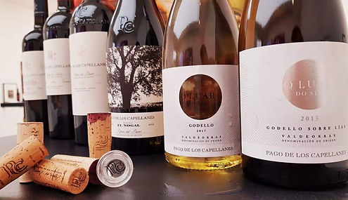 Pago de Los Capellanes Wines