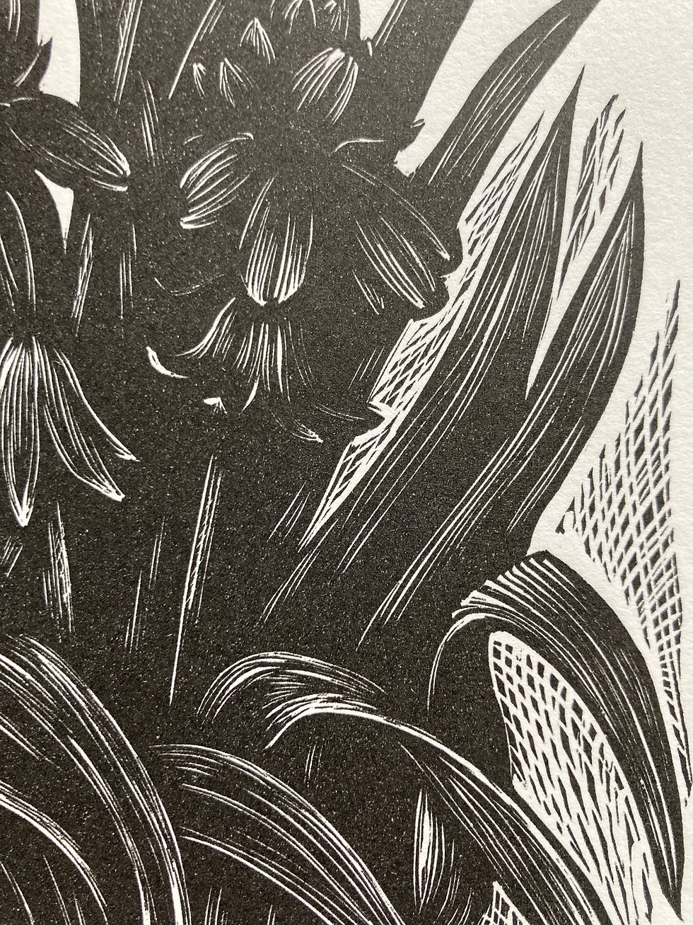 Thumbnail: Bluebells
