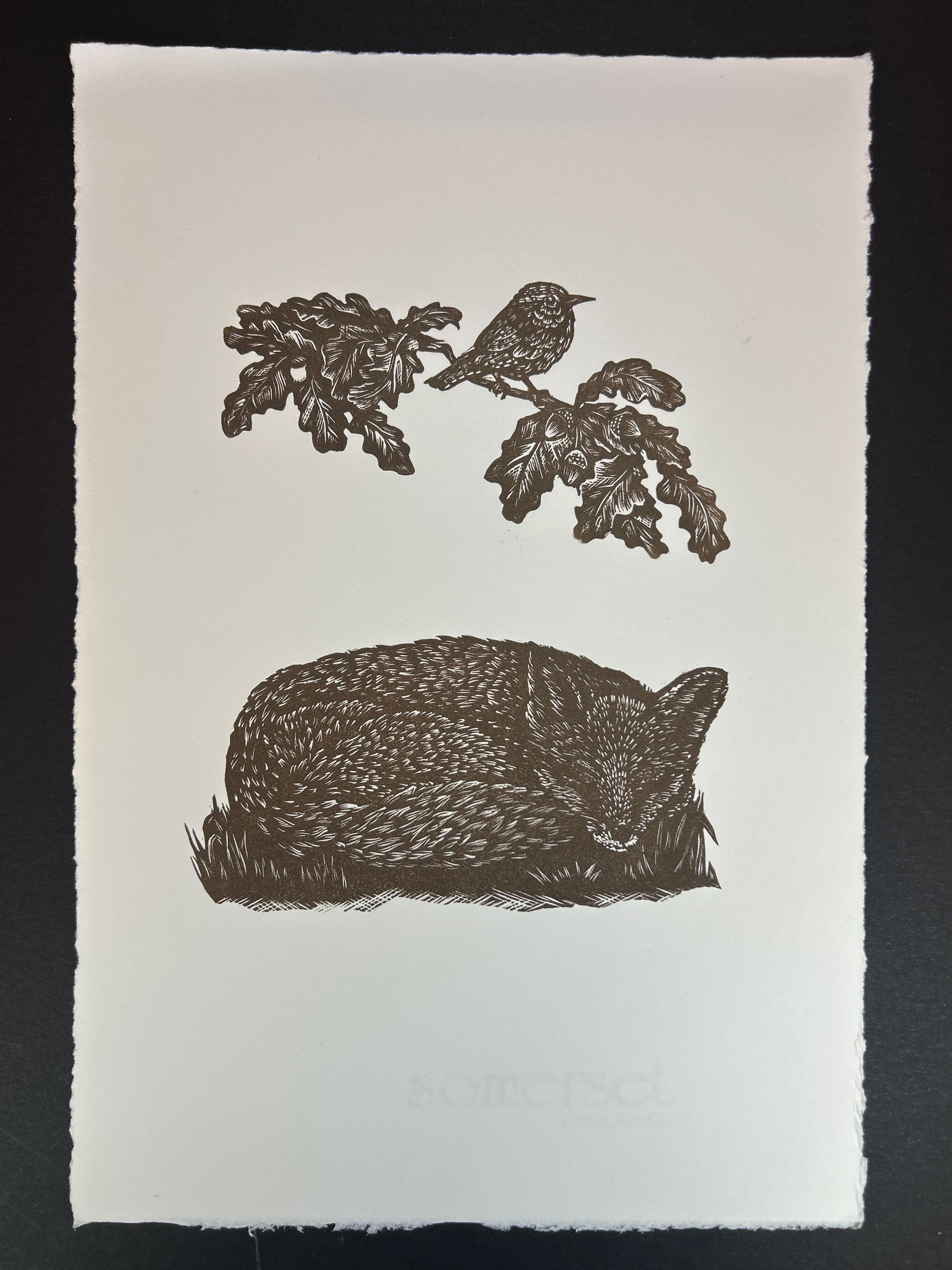 The sleeping fox