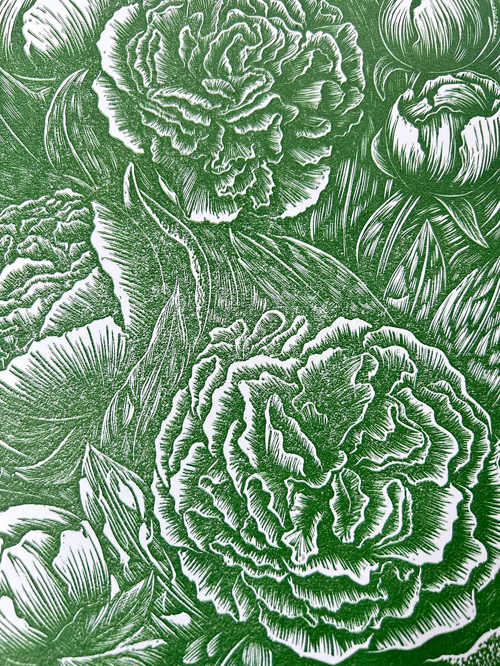 Thumbnail: Peonies (proofs)