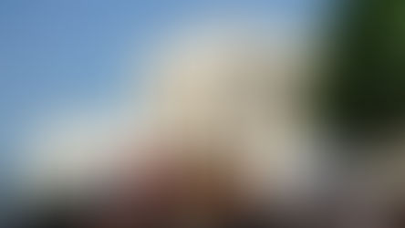 Weekly News Blast | Dec 31 - Jan 7