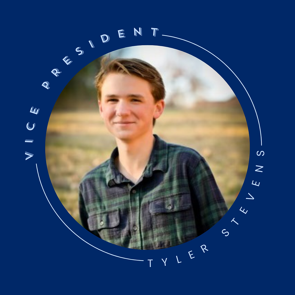 VP Photo