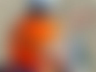 Bahçe Çiti Montaj Hizmeti Bodrum'da Var mı?