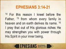 Lesson 10: What is a family?