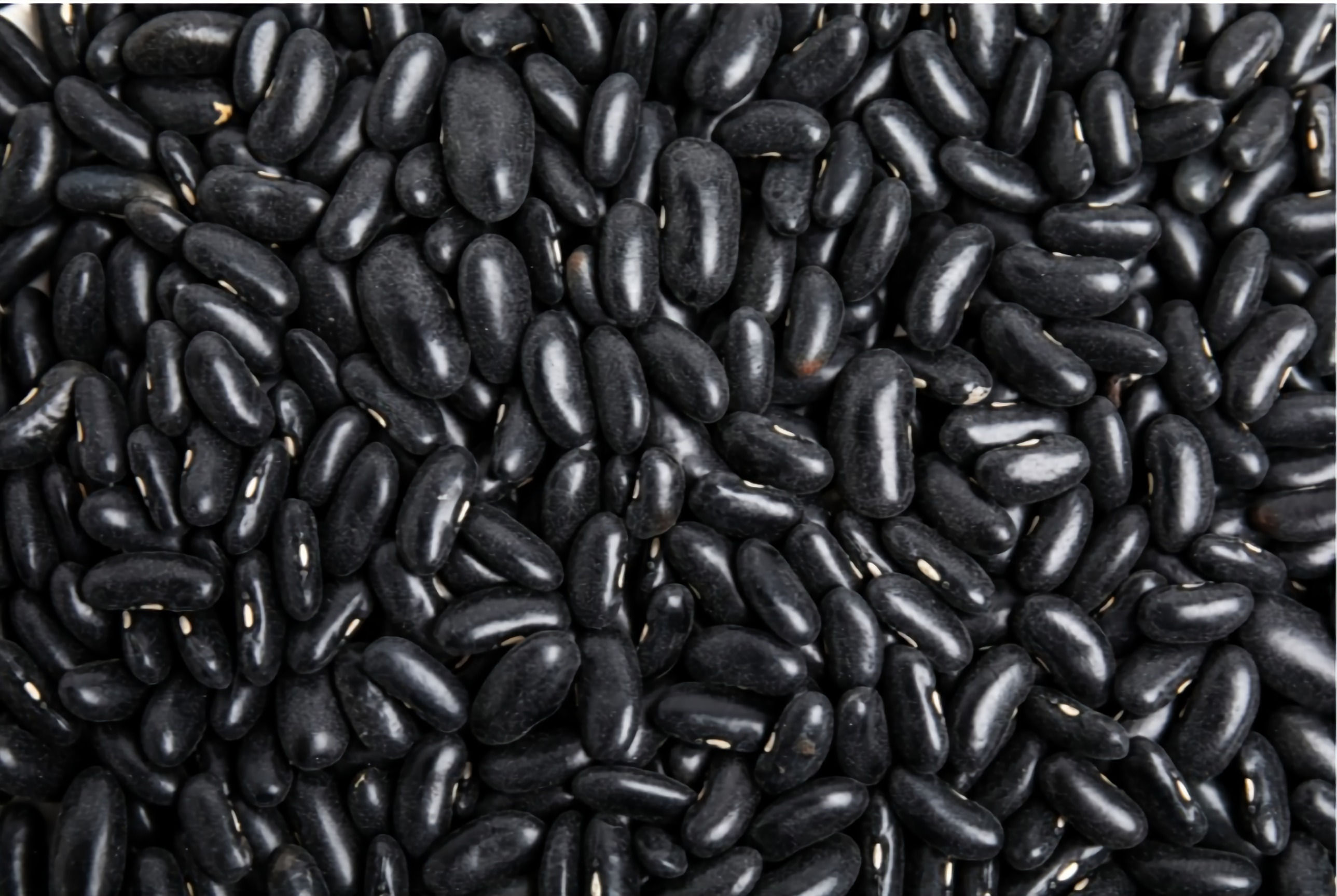 Whole Black Beans - (Sabut Kala Rajma)