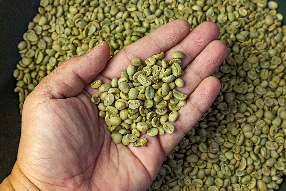 Thumbnail: Green Coffee Capsules / Powder