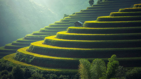 And then there is the Bali beyond the walls. Rice terraces roll across the landscape in layers of green, shaped over generations and still connected to an ancient relationship between people, nature and water. Standing somewhere like this changes the pace again. You walk a little slower. You look a little longer. You breathe a little deeper. Maybe wellness isn’t always about escaping everyday life. Maybe it’s about finding small ways to feel better while living it. Bali has understood the value of slowing down for a very long time. We’re still learning. But we brought the right shoes. Feel the Vibes®