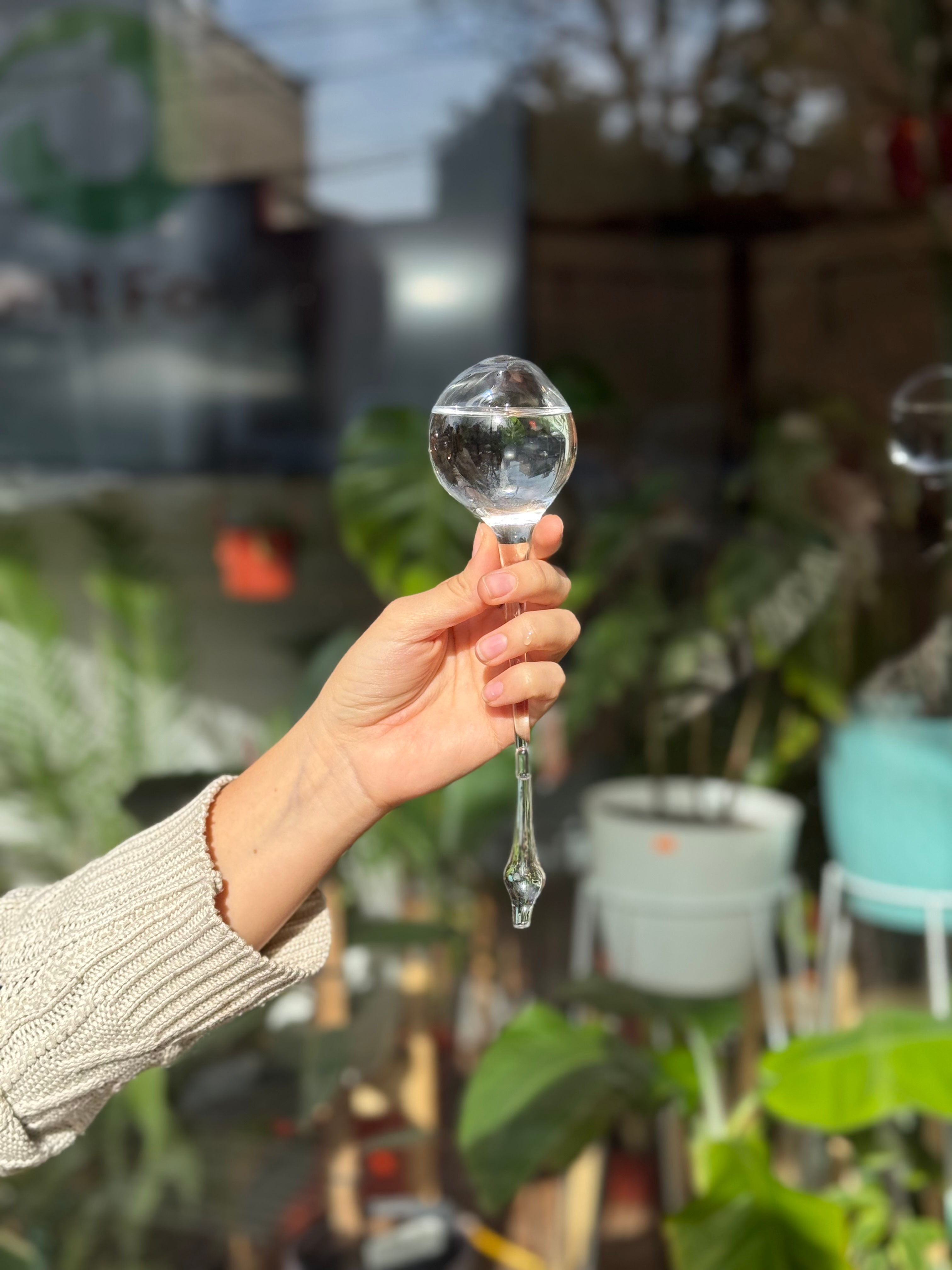 Gota de Riego por Goteo