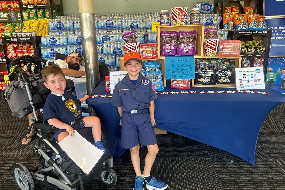 From Wood Badge Ticket to National Vision: Making Scouting For All a Reality