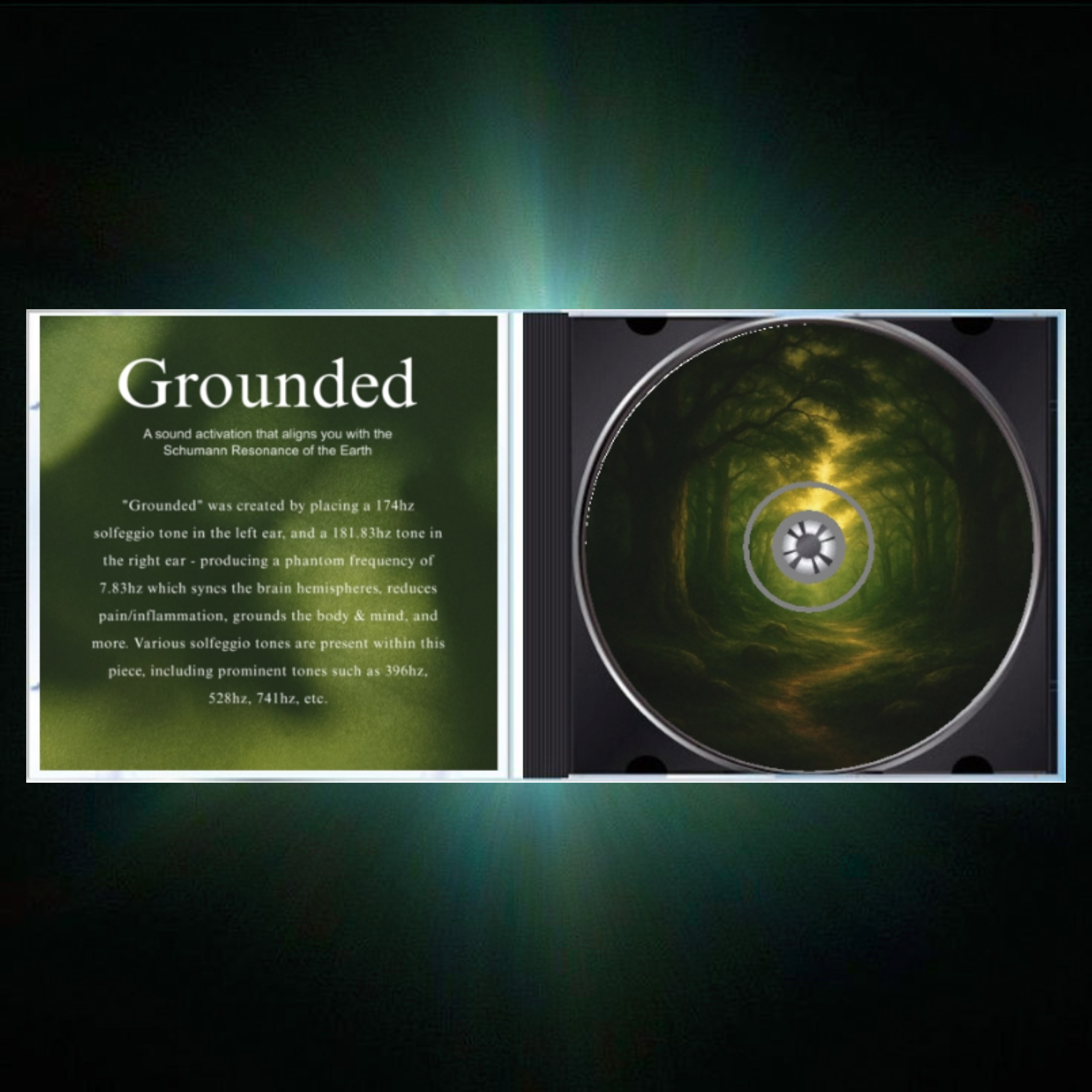 Grounded CD