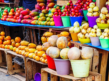 AdobeStock_259762636.jpeg