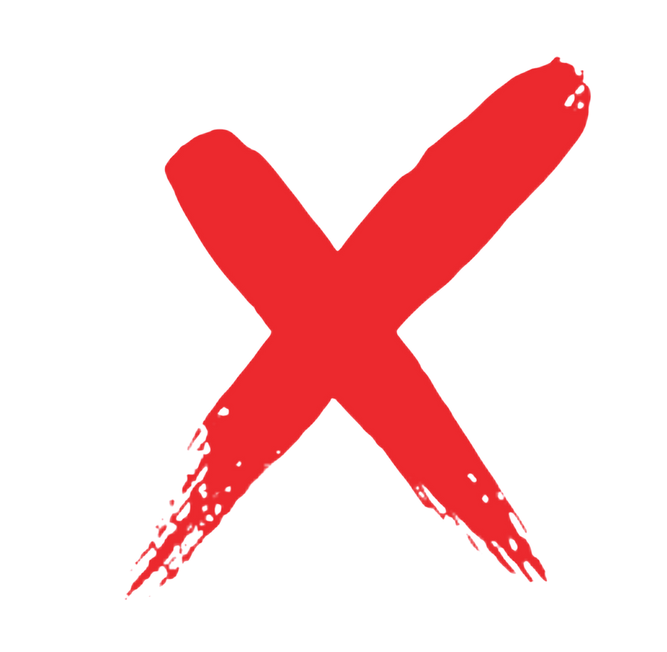 fengshuix-logo-X-Red-Trans.png