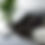 Thumbnail: K9 DEFENSE FUND SHERPA BLANKET - K9 JAXON