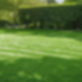 A commercial property mowed with straight lines in grass.jpg