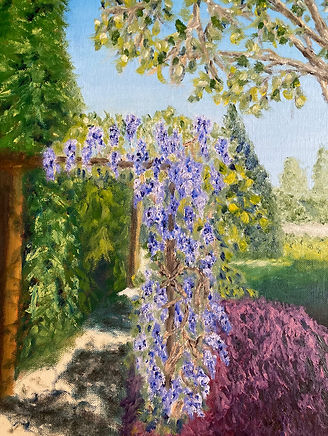 9. Wisteria arbour - Castle Gardens.jpeg