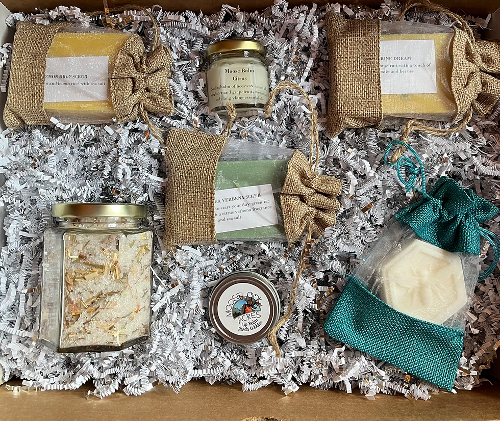 Citrus Dreams Package