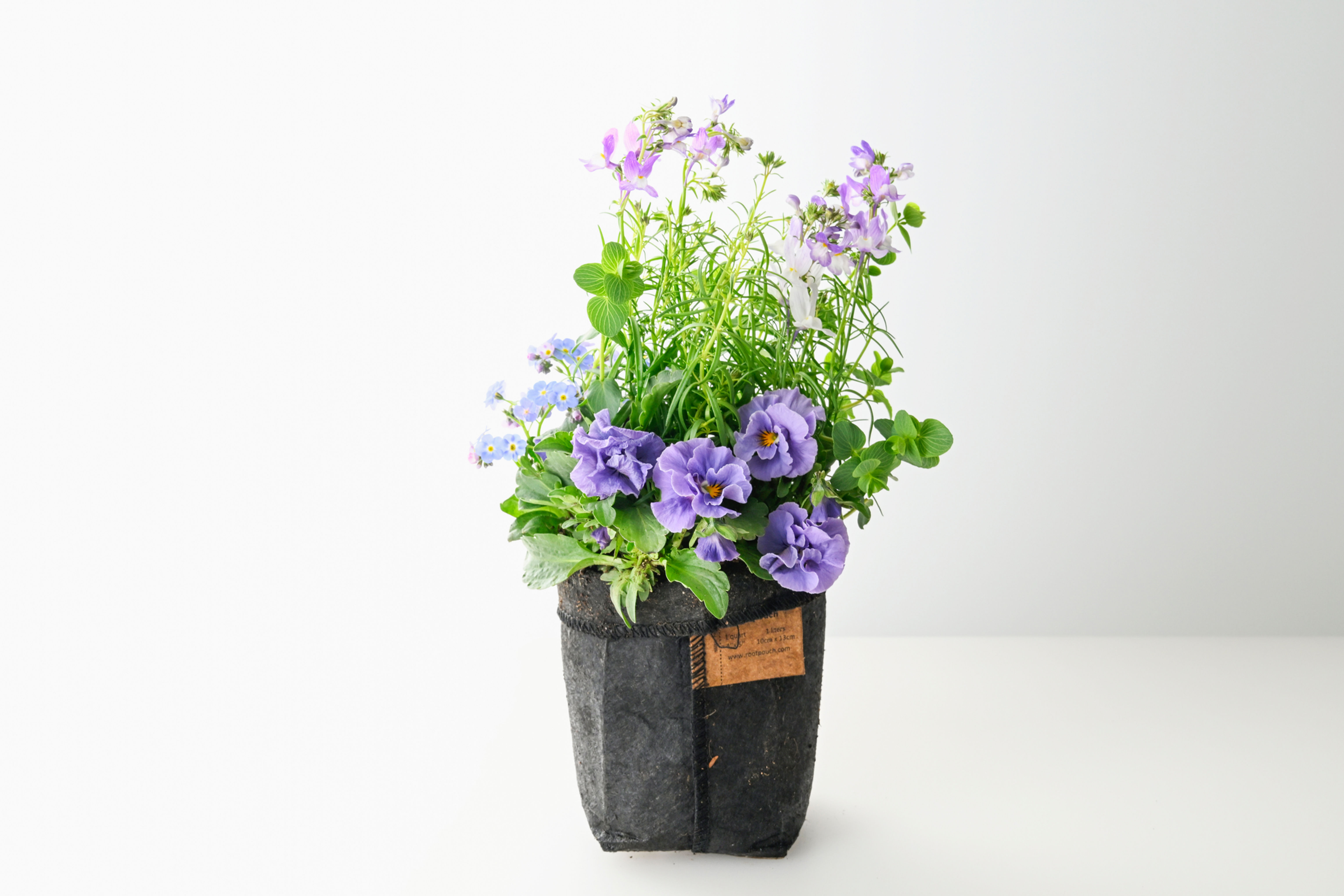 Message Garden Purple Sサイズ