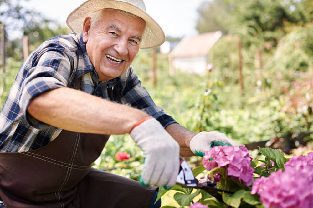 父の日ギフトは ガーデニングがおすすめ