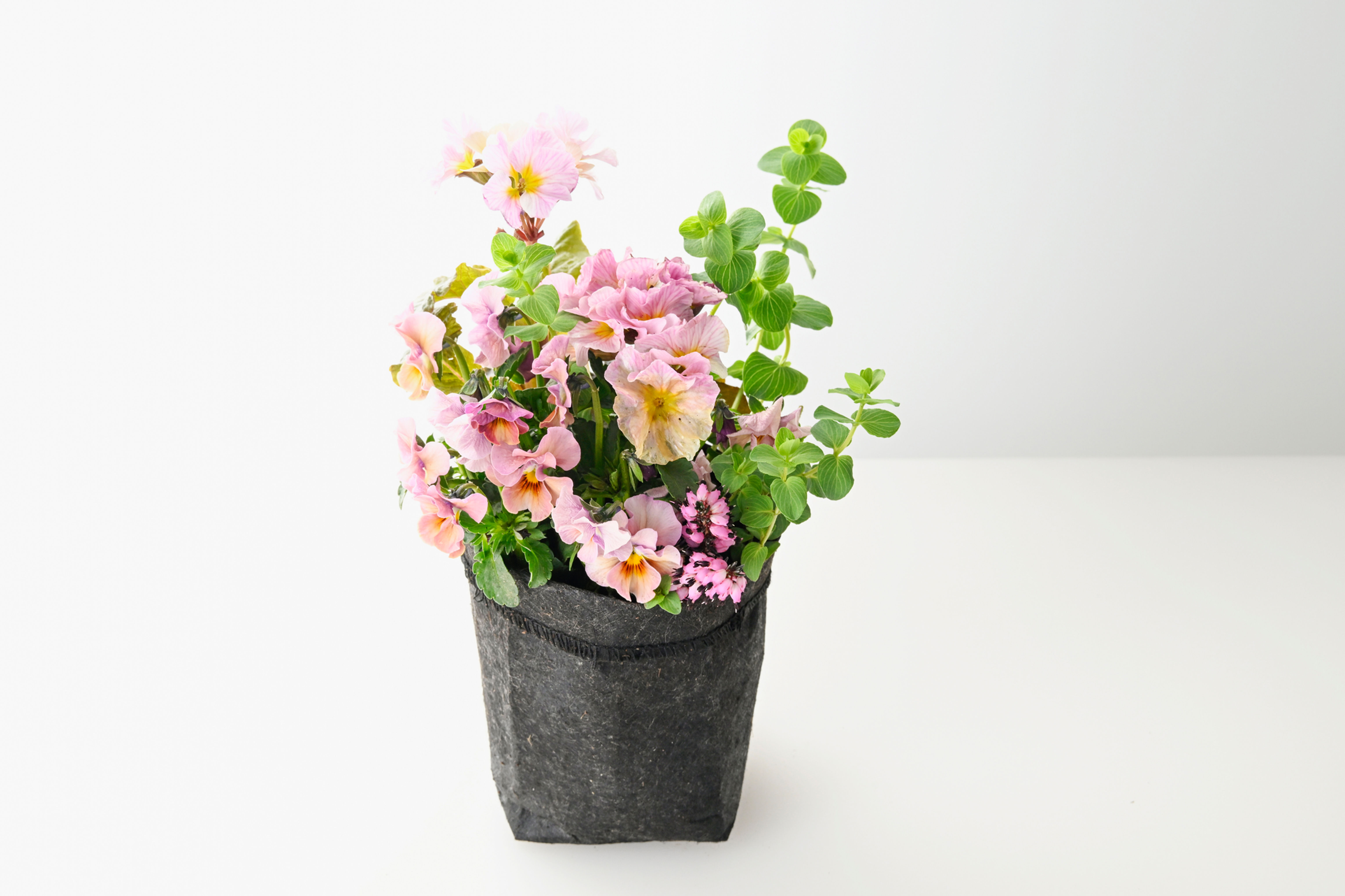 Message Garden Pink Sサイズ
