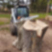 Tree & Stump Removal.jpg