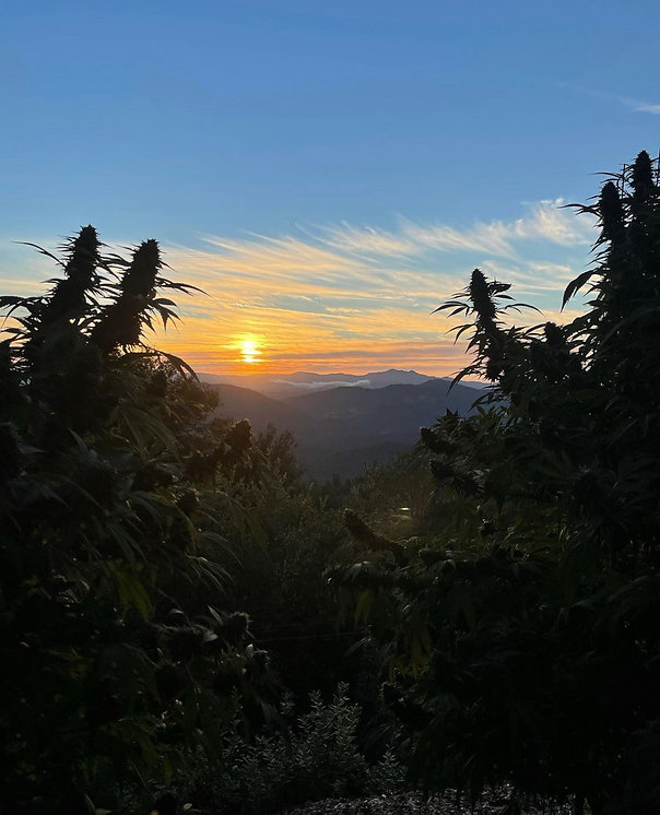 Ridgeline Farms.jpeg