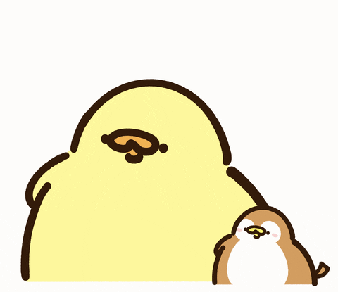 Cool birds gif