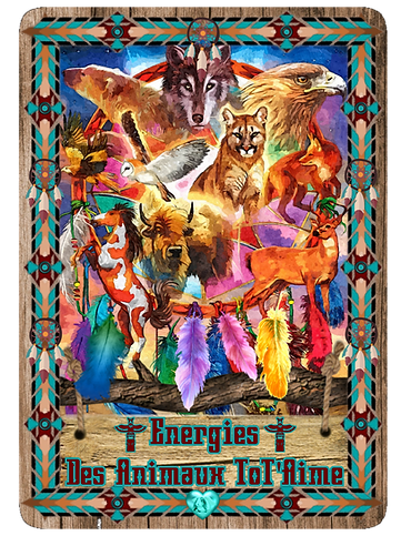 Nouveau projet (11).png