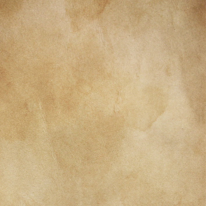 silviagaudenzi-paper-8882753.jpg