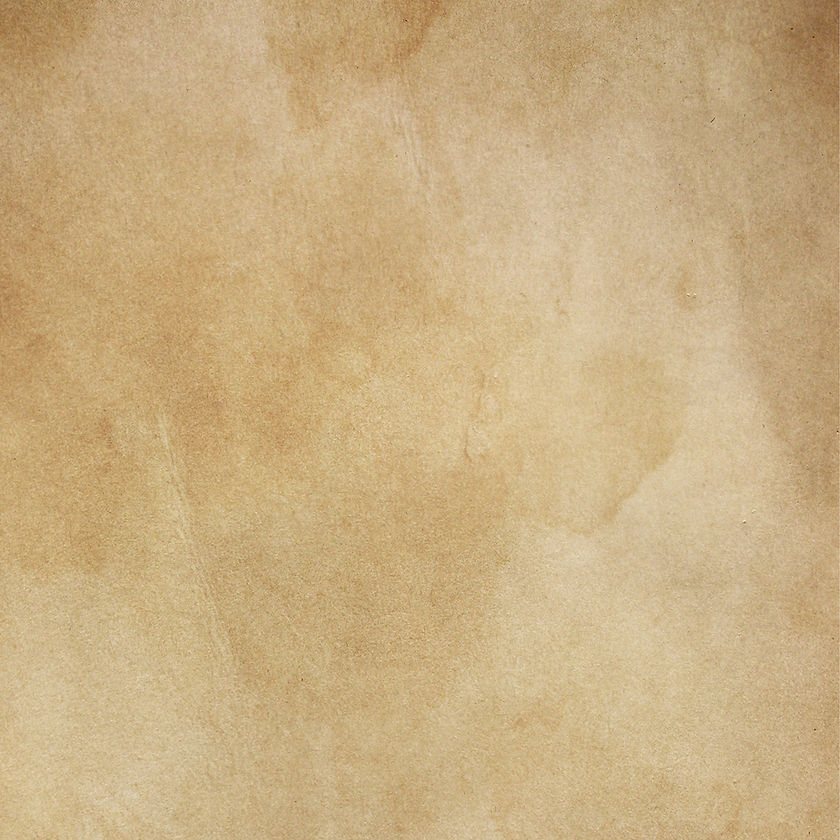 silviagaudenzi-paper-8882753.jpg