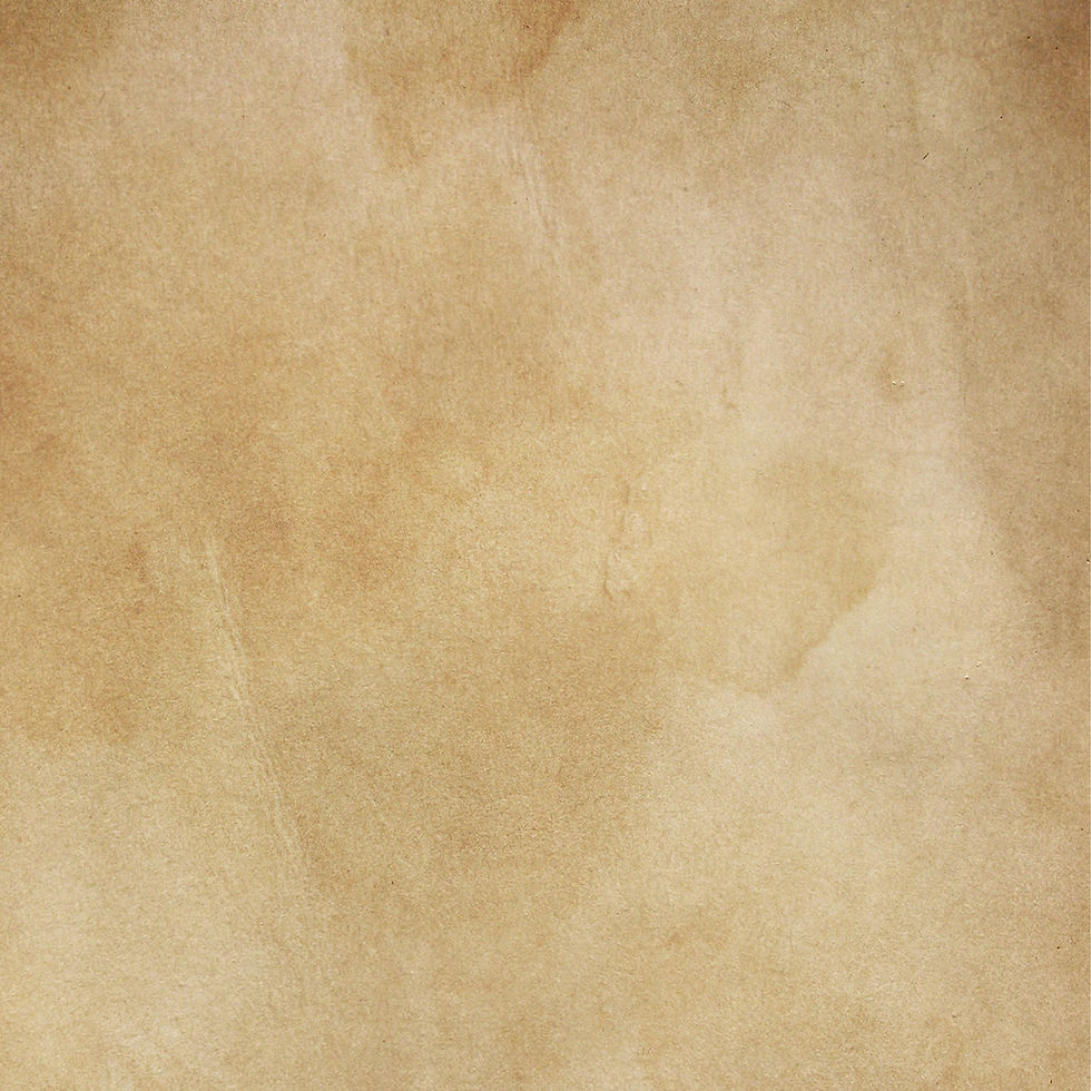 silviagaudenzi-paper-8882753.jpg