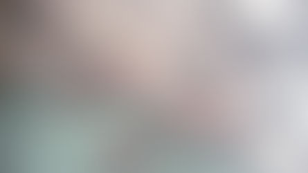 Les Provinces illyriennes de Napoléon (1809-1813)