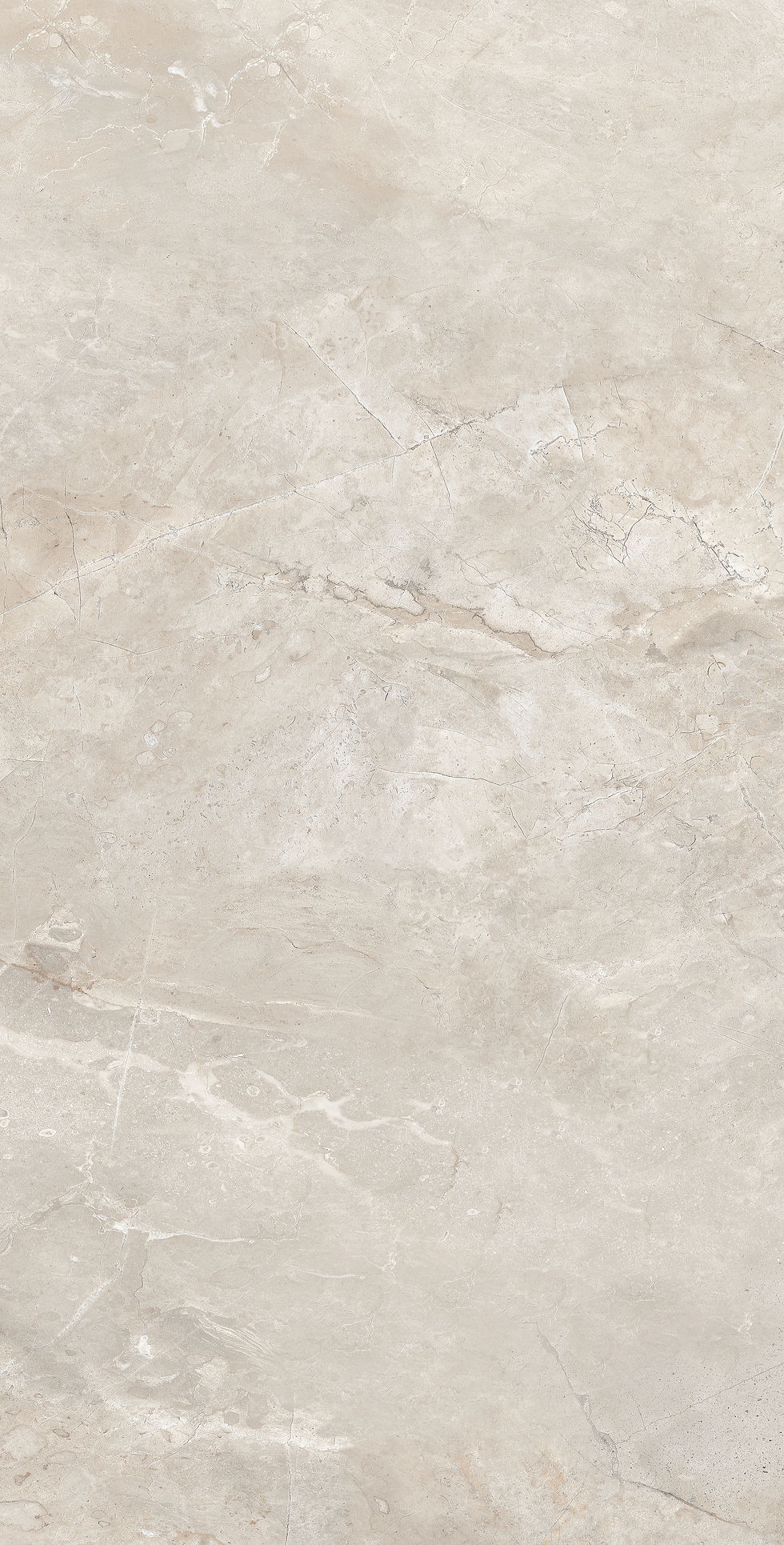 Thumbnail: Elegant Vizon 60X120